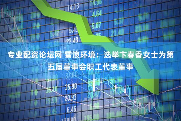 专业配资论坛网 雪浪环境：选举卞春香女士为第五届董事会职工代表董事